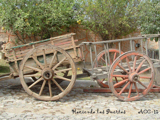 Antique Wagons (mesquite wood)